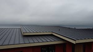 Steel Roofing in Royal Oak, MI